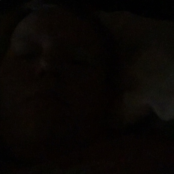 shay777_8